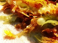 /album/nesian-photography/nesian-picture-14-copy-jpg/